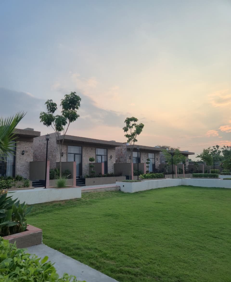 Evening Lawns
